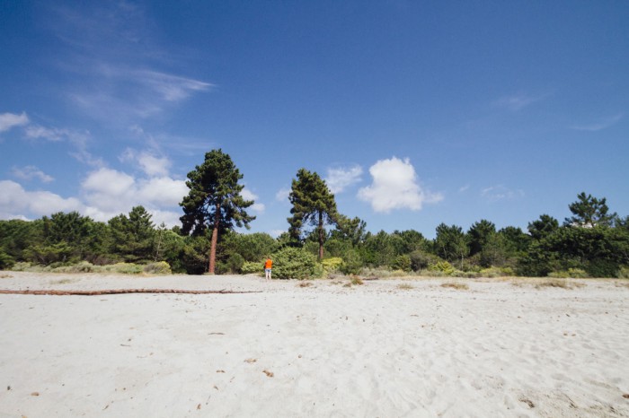 camping Corse